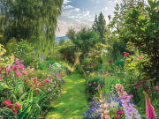 Les Meilleures Plantes pour Embaumer son Jardin ou son Balcon cet Été