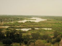 Six Français condamnés à perpétuité en Irak : ce qui est confirmé Le Tigre et une île au cœur de Bagdad, capitale de l’Irak