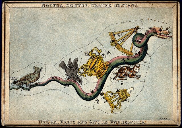 Gravure ancienne colorée représentant les signes du zodiaque