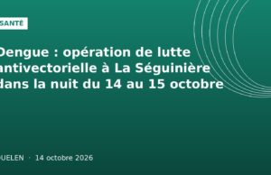 Dengue : opération de lutte antivectorielle à La Séguinière dans la nuit du 14 au 15 octobre Illustration graphique verte : opération lutte antivectorielle dengue à La Séguinière, Ouelen 14 octobre 2026