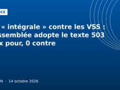 Loi « intégrale » contre les VSS : l’Assemblée adopte le texte 503 voix pour, 0 contre Illustration graphique bleu France : adoption de la loi intégrale contre les violences sexistes et sexuelles, Ouelen 14 octobre 2026
