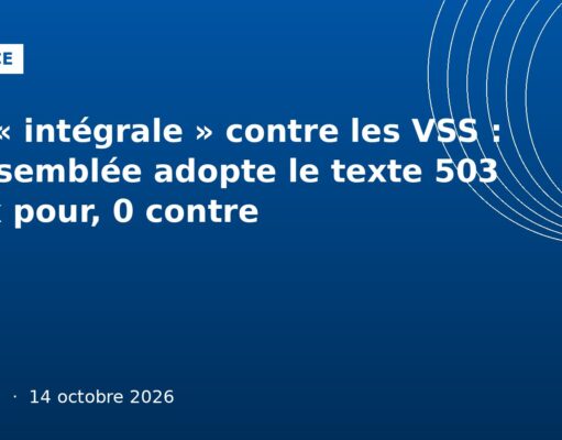 Loi « intégrale » contre les VSS : l’Assemblée adopte le texte 503 voix pour, 0 contre Illustration graphique bleu France : adoption de la loi intégrale contre les violences sexistes et sexuelles, Ouelen 14 octobre 2026