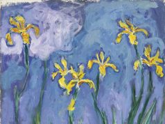 « Iris » de Monet adjugé 43 millions d’euros chez Sotheby’s : le tableau le plus cher jamais vendu aux enchères en France « Iris jaunes au nuage rose », une autre toile de Claude Monet peinte à Giverny (illustration, différente du tableau vendu)
