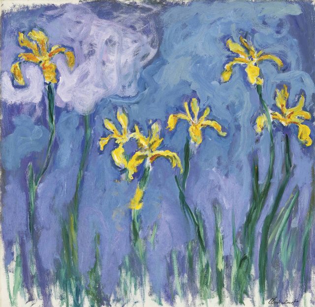 « Iris jaunes au nuage rose », une autre toile de Claude Monet peinte à Giverny (illustration, différente du tableau vendu) « Iris jaunes au nuage rose », une autre toile de Claude Monet peinte à Giverny (illustration, différente du tableau vendu)