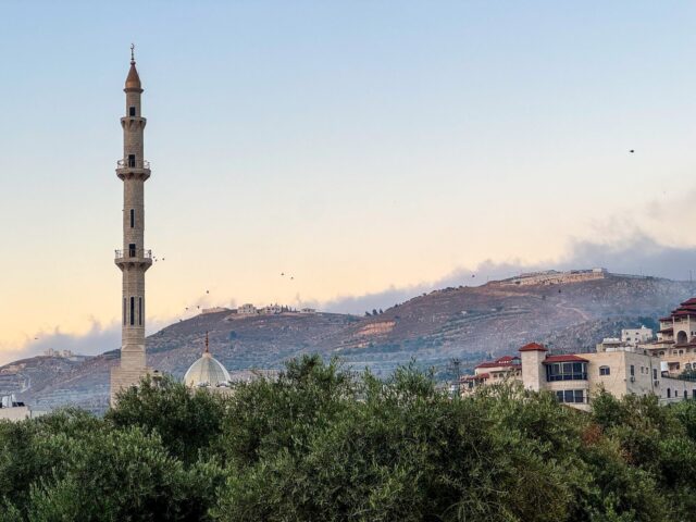 Les collines et oliveraies autour de Turmus Ayya, en Cisjordanie occupée