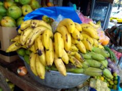 Prix alimentaires : après la sécheresse, les coopératives agricoles préviennent que les hausses vont reprendre Fruits et légumes sur un étal de marché en France