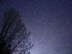 Horoscope du samedi 17 octobre 2026 Ciel nocturne constellé d'étoiles au-dessus de silhouettes d'arbres