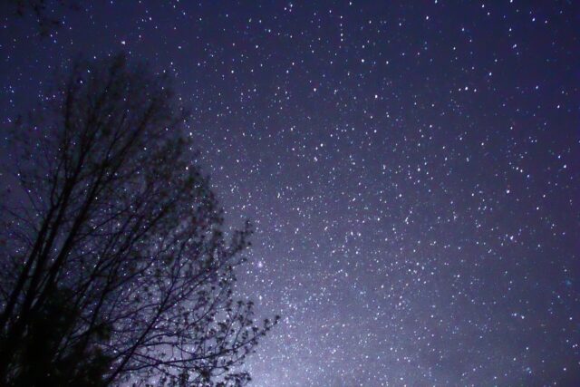 Ciel nocturne constellé d'étoiles au-dessus de silhouettes d'arbres Ciel nocturne constellé d'étoiles au-dessus de silhouettes d'arbres