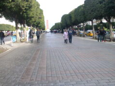 Tunisie : plus de 3 000 manifestants à Tunis contre la vie chère et pour les libertés, l’une des plus fortes mobilisations contre Kaïs Saïed L'avenue Habib-Bourguiba, dans le centre de Tunis, où ont défilé les manifestants (photo d'archives)