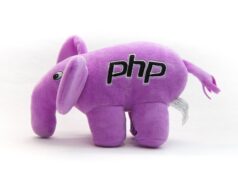 Faille critique dans PHP : impots.gouv, préfectures et CNIL encore en maintenance ce soir, les versions à installer d’urgence L’éléphant en peluche violet marqué « php », mascotte du langage informatique PHP