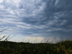 Tempête Austen : cinq départements en vigilance orange dès ce soir, aucun train en Normandie vendredi et jusqu’à 140 km/h sur les côtes Mer démontée à la pointe du Raz, dans le Finistère, un jour de tempête (photo d'archives)
