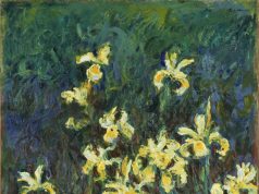 Jusqu’à 30 millions d’euros pour des « Iris » jamais montrés : le Monet de la collection Schlumberger passe ce soir sous le marteau à Paris Iris jaunes, toile de Claude Monet inspirée de son jardin de Giverny (œuvre différente du tableau mis en vente)