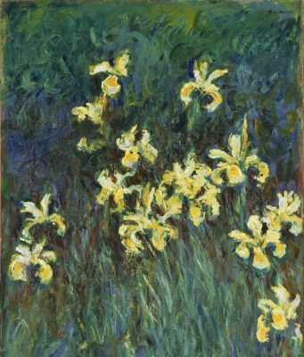 Jusqu’à 30 millions d’euros pour des « Iris » jamais montrés : le Monet de la collection Schlumberger passe ce soir sous le marteau à Paris Iris jaunes, toile de Claude Monet inspirée de son jardin de Giverny (œuvre différente du tableau mis en vente)