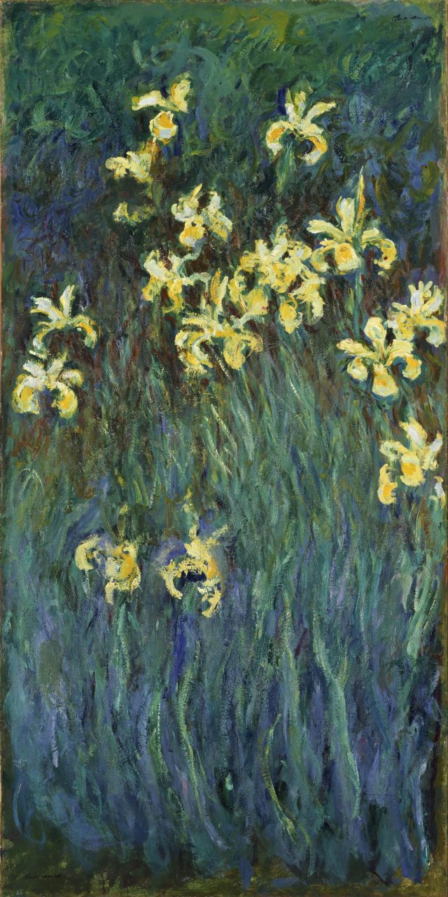 Iris jaunes, toile de Claude Monet inspirée de son jardin de Giverny (œuvre différente du tableau mis en vente) Iris jaunes, toile de Claude Monet inspirée de son jardin de Giverny (œuvre différente du tableau mis en vente)