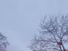 Manifestations du 24 octobre : seuls les cortèges syndicaux autorisés, Lyon interdit tout rassemblement et Macron convoque un conseil de défense vendredi La colonne de Juillet, place de la Bastille à Paris, dans la fumée d'un fumigène lors d'une précédente manifestation (photo d'illustration)