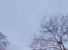 Manifestations du 24 octobre : seuls les cortèges syndicaux autorisés, Lyon interdit tout rassemblement et Macron convoque un conseil de défense vendredi La colonne de Juillet, place de la Bastille à Paris, dans la fumée d'un fumigène lors d'une précédente manifestation (photo d'illustration)