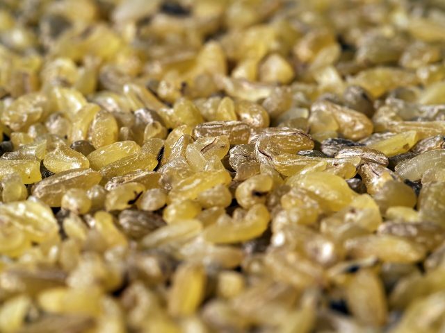 Gros plan sur des grains de boulgour