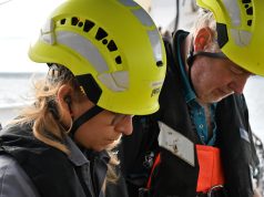 Noix de Saint-Jacques Label Rouge à la listeria, batterie de kayak Decathlon qui peut exploser, tournevis Facom mal étiquetés : les rappels du 23 octobre Coquilles Saint-Jacques de la baie de Saint-Brieuc mesurées lors d’une campagne de l’Ifremer (photo d’illustration)