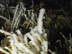 Vortex polaire début novembre : vague de froid ou simple fraîcheur ? Ce qui est sûr Du givre sur l’herbe au petit matin